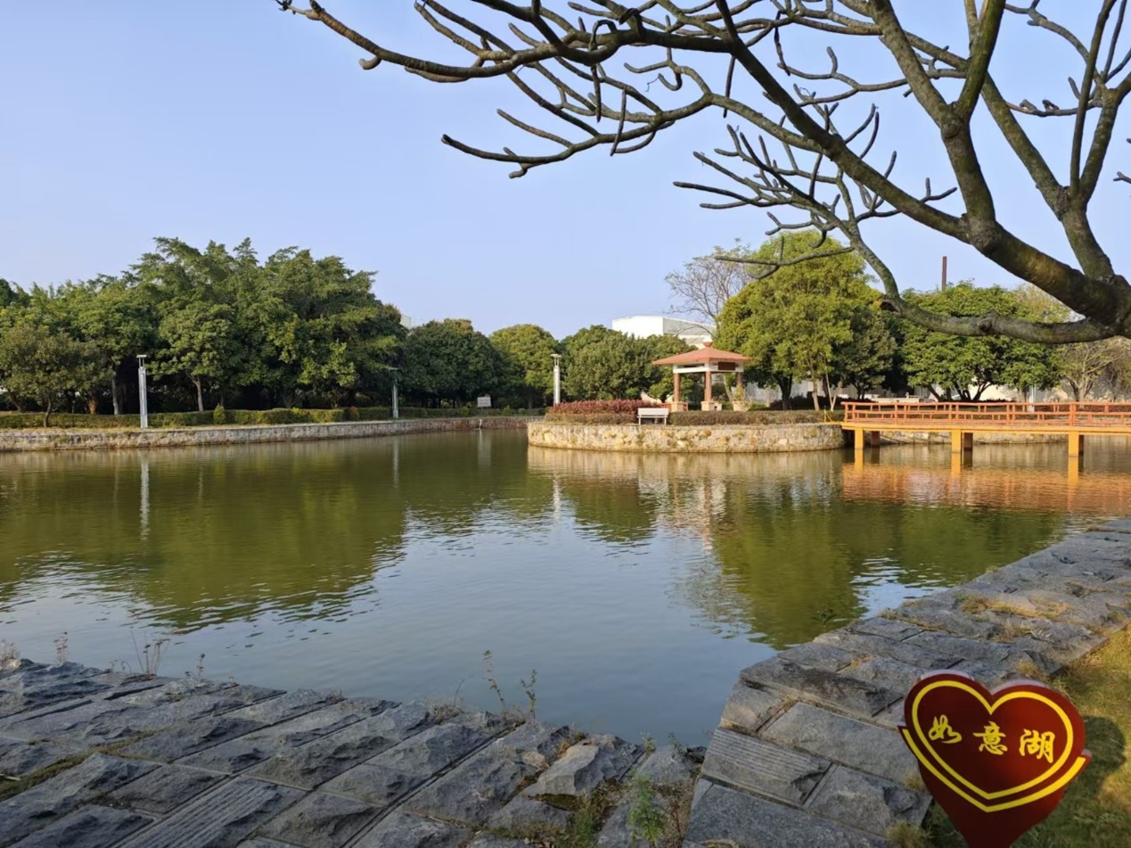 11671c9feb3b4dbb.jpg 11671c9feb3b4dbb.jpg