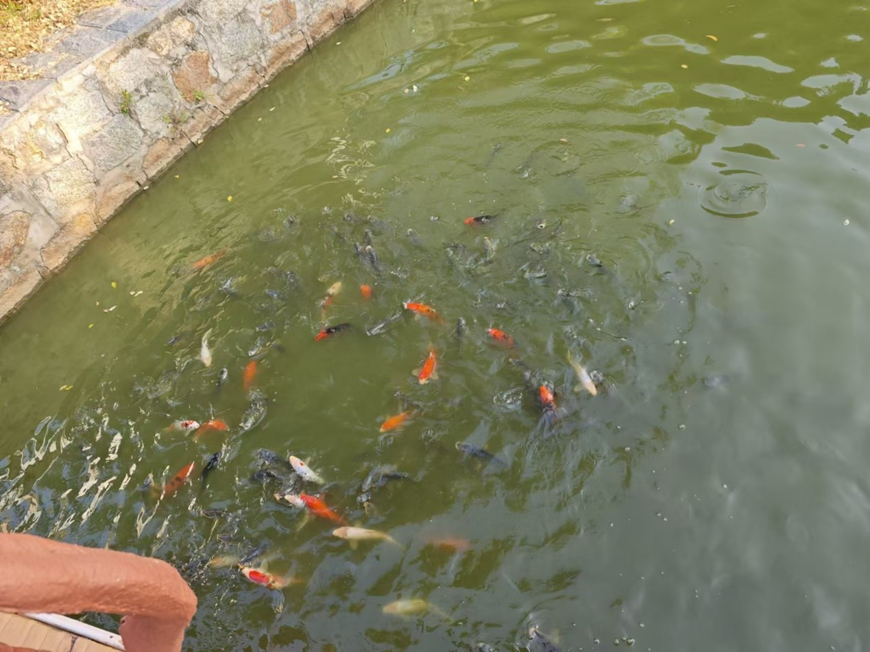 ed2824ed34969053.jpg ed2824ed34969053.jpg