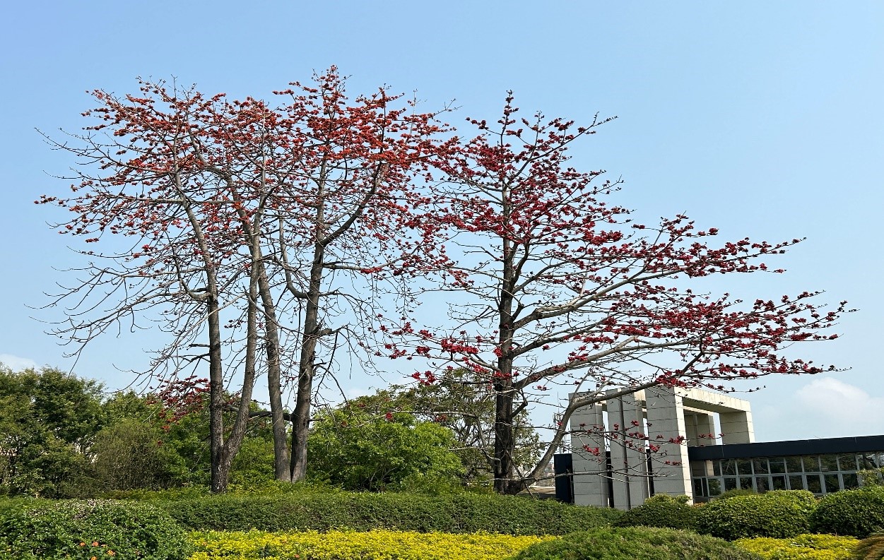 92ed1a4e15ed636e.jpg 92ed1a4e15ed636e.jpg