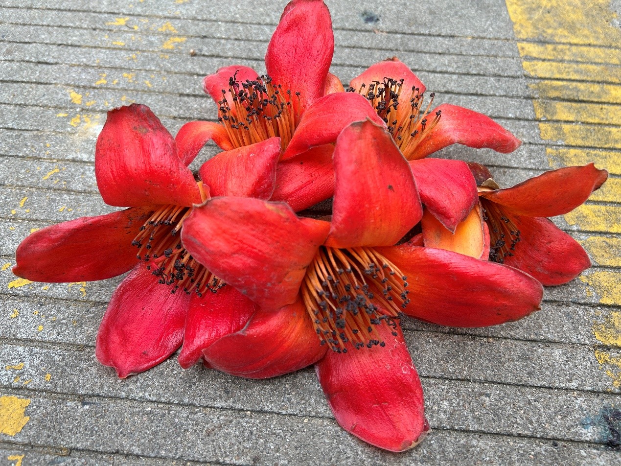 72be8baa177ad70f.jpg 72be8baa177ad70f.jpg