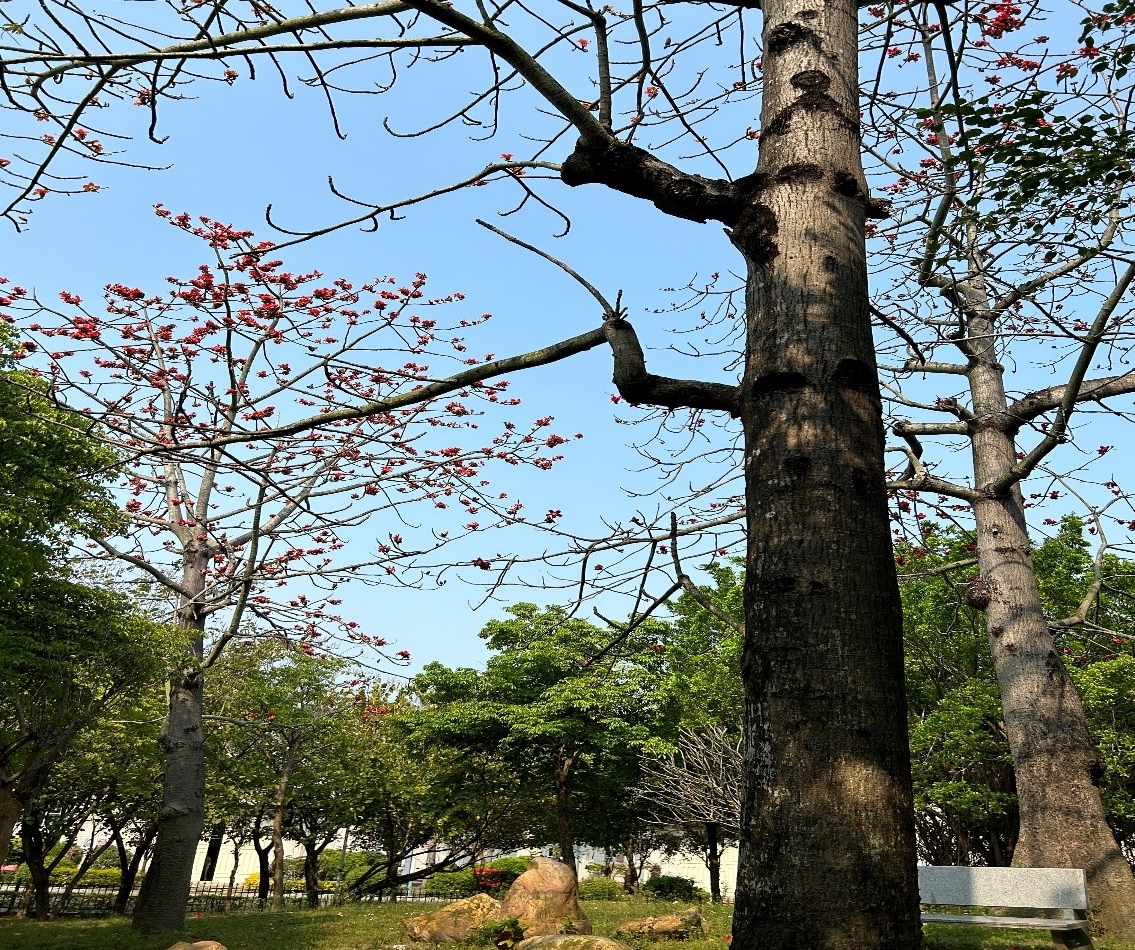 8a3dd62d83869cd6.jpg 8a3dd62d83869cd6.jpg