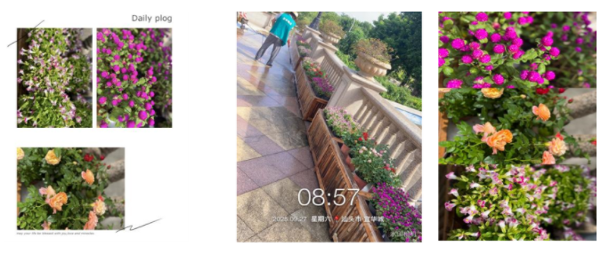 wechat_2025-10-08_095257_955.png wechat_2025-10-08_095257_955.png